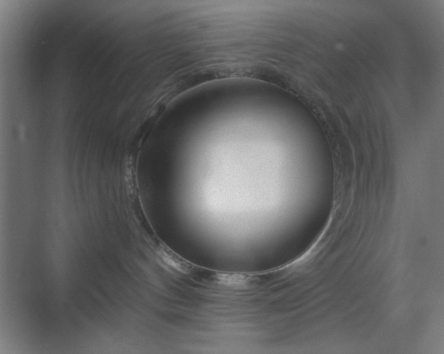 X0000070200144200606021239