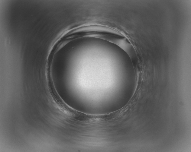 X0000070200152200606021238