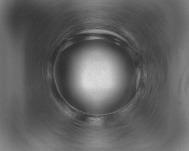 X0000070200170200606021238