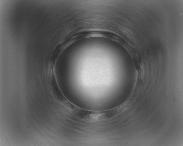X0000070200172200606021238