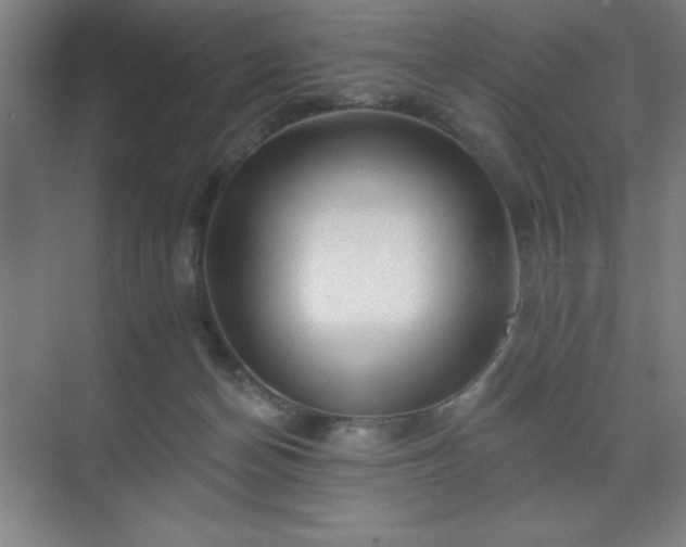 X0000070200174200606021238