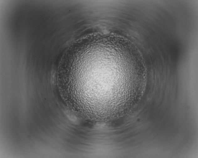 X0000070200177200606021239