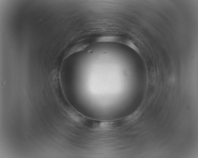 X0000070200184200606021239