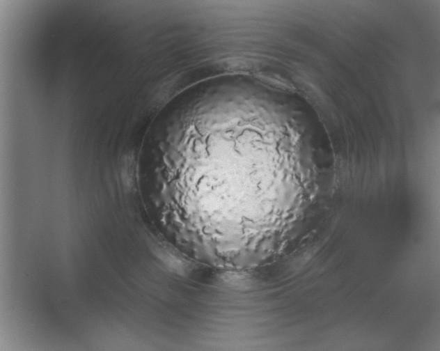 X0000070200189200606021239