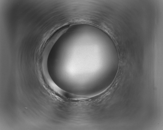 X0000070200193200606021238