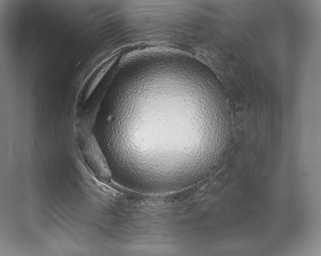 X0000070200194200606021238