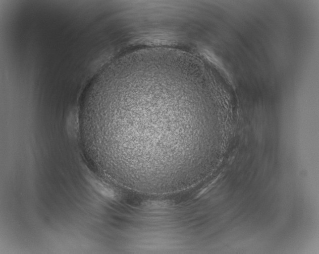 X0000070200202200606021238