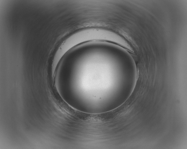 X0000070200207200606021238