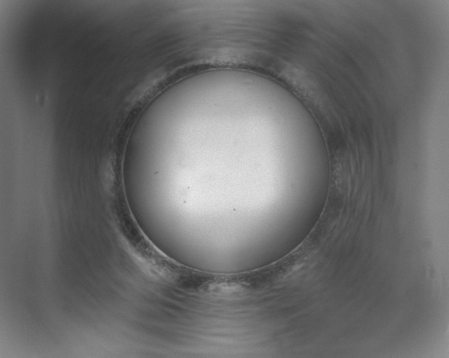 X0000070200208200606021238
