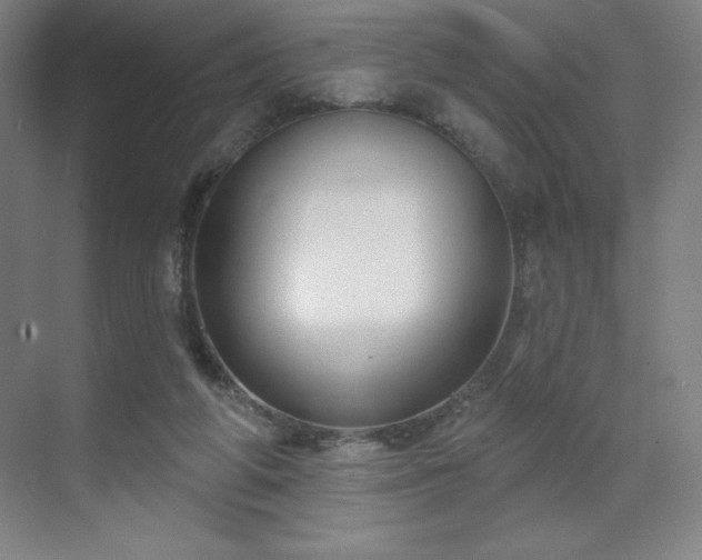 X0000070200210200606021238
