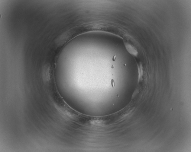 X0000070200216200606021238