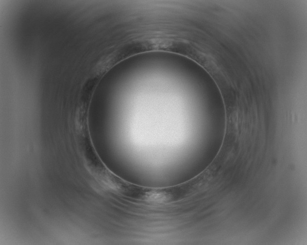 X0000070200218200606021238