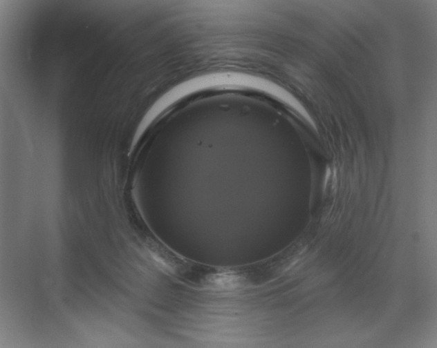 X0000070200219200606021238
