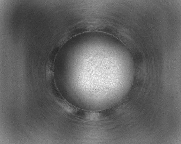 X0000070200226200606021237