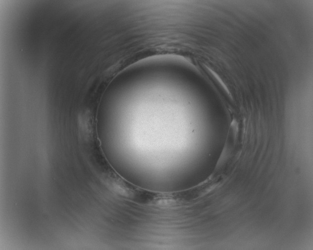 X0000070200228200606021237