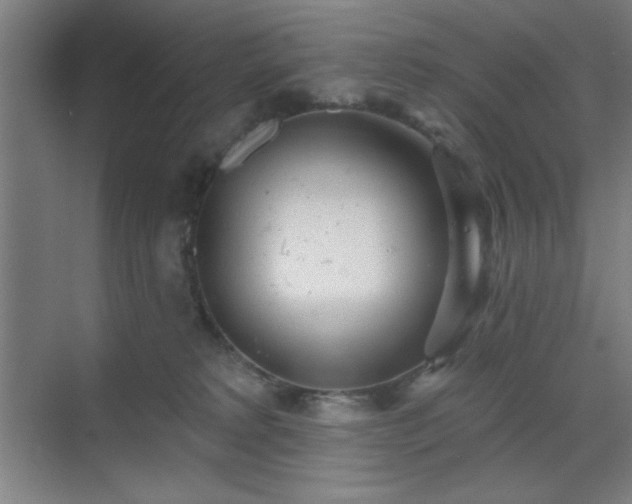 X0000070200229200606021237