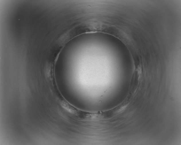 X0000070200233200606021237