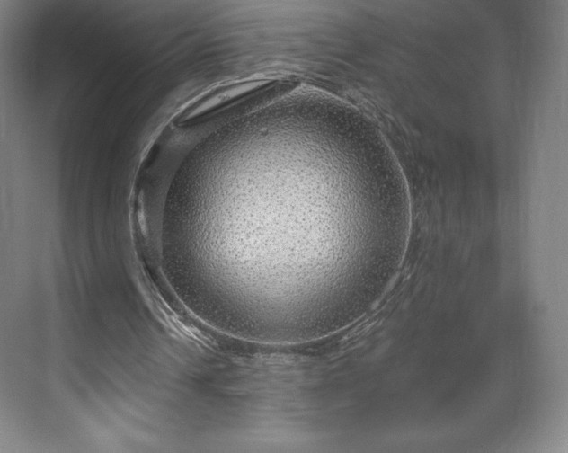 X0000070200242200606021236