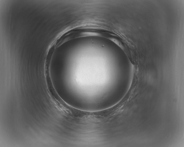 X0000070200244200606021236
