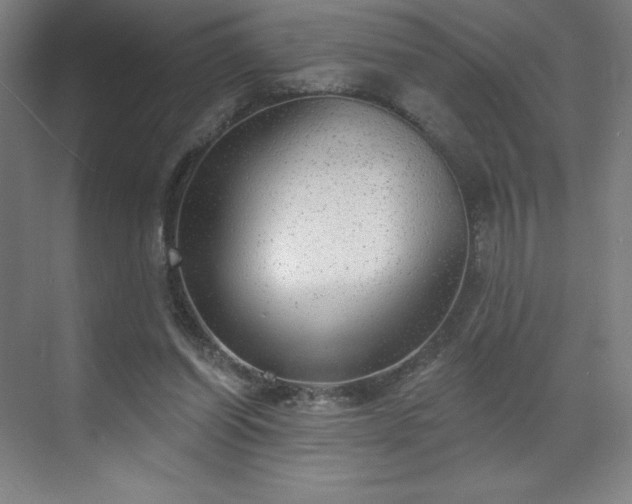 X0000070200254200606021237