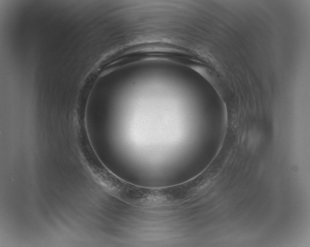 X0000070200256200606021237