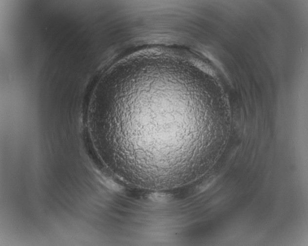 X0000070200261200606021237