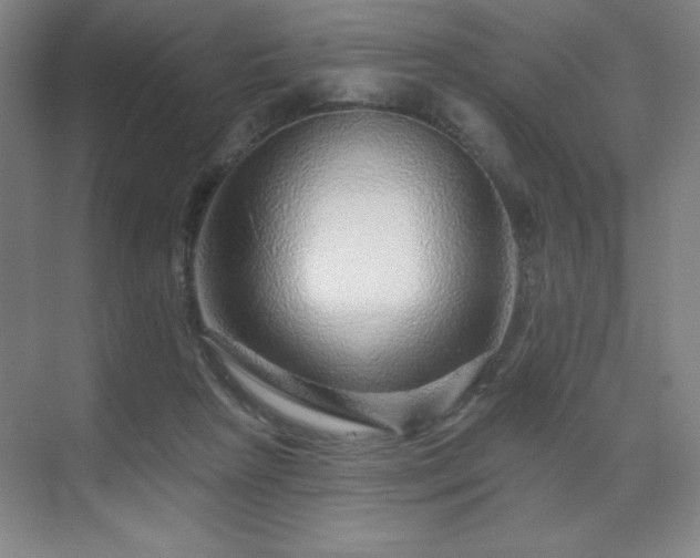 X0000070200265200606021237
