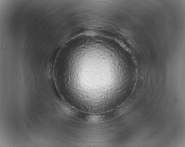 X0000070200273200606021237