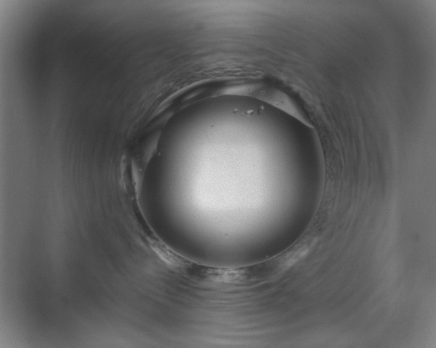 X0000070200288200606021237