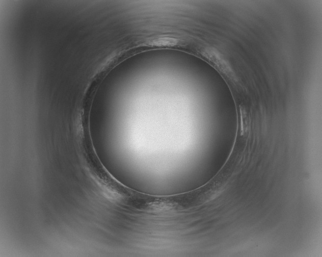 X0000070200300200606021236