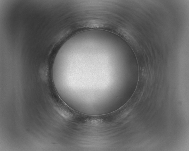 X0000070200304200606021236
