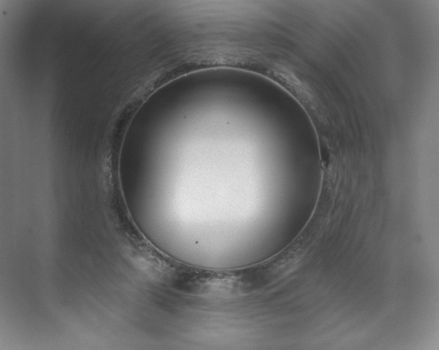X0000070200306200606021236