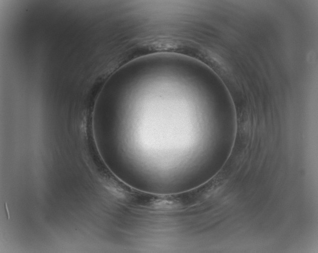 X0000070200315200606021236