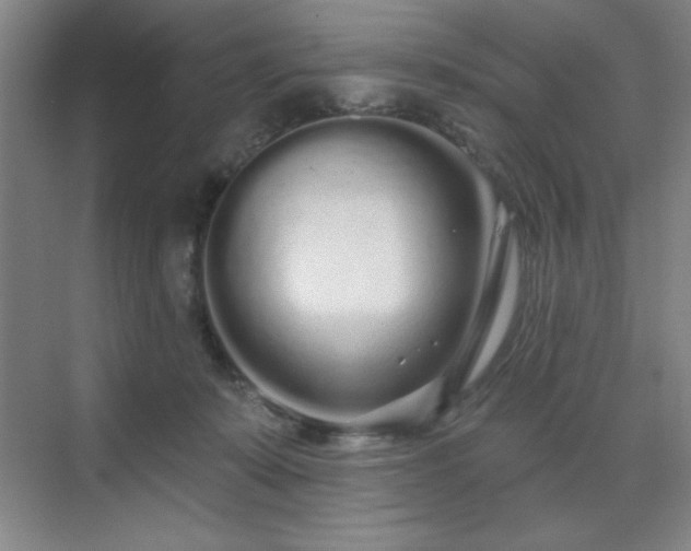 X0000070200319200606021236