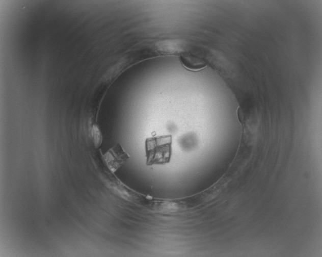 X0000070200330200606021236