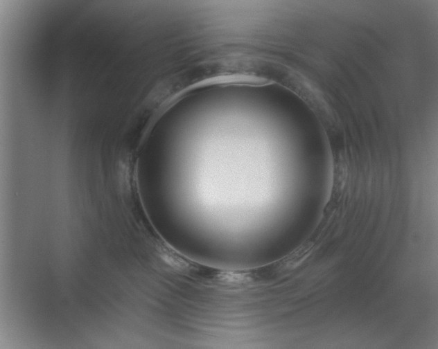 X0000070200333200606021236