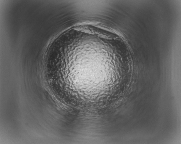X0000070200337200606021235
