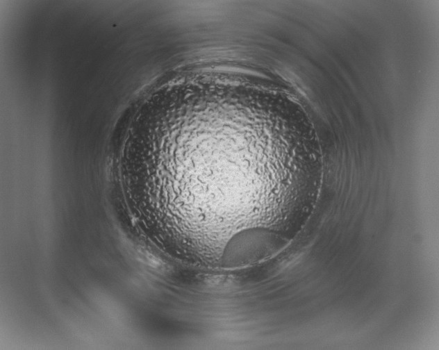 X0000070200355200606021235