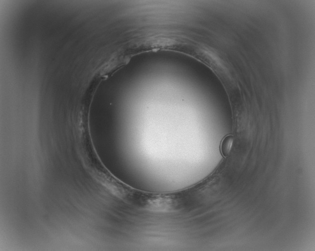 X0000070200362200606021235