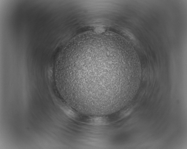X0000070200365200606021235