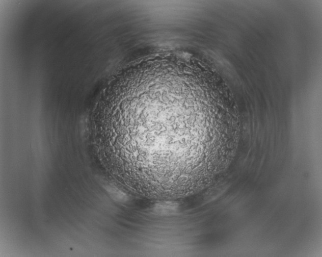 X0000070200369200606021235