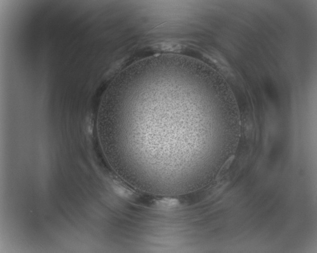X0000070200374200606021235