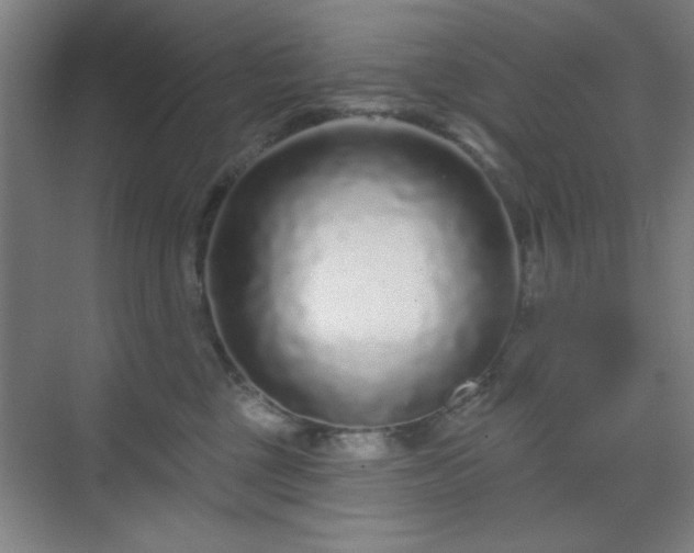 X0000070200377200606021235