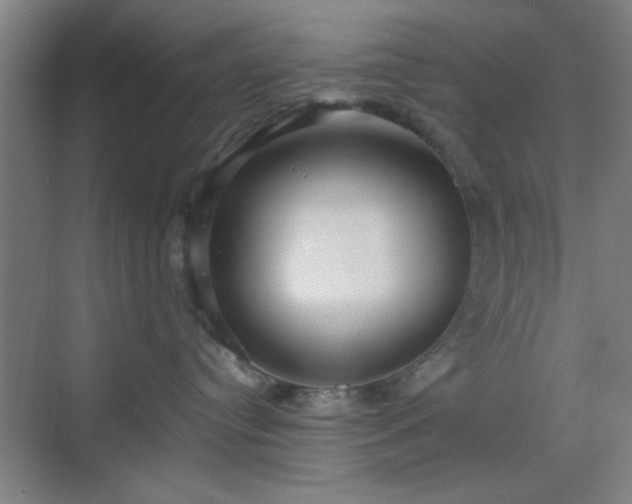 X0000070200384200606021236