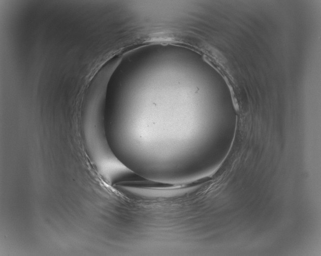 X0000070200385200606021235