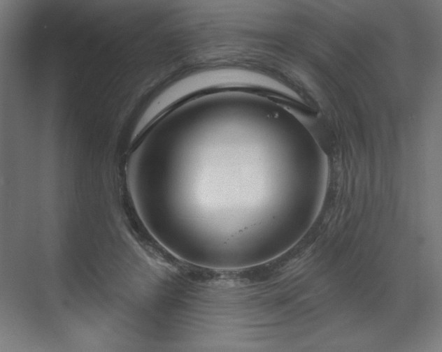 X0000070200404200606021234