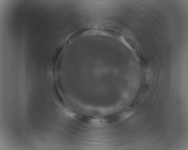X0000070200415200606021234