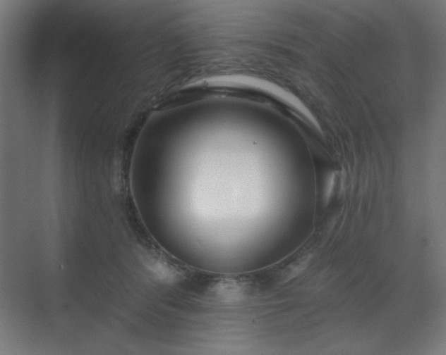 X0000070200416200606021234