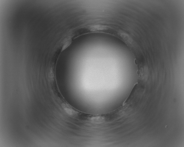X0000070200426200606021234