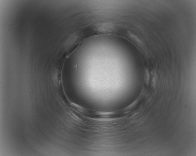 X0000070200428200606021234